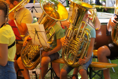 _8152107